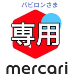 6’6 45L サーフボード フィン付！ BLACKS 6'6