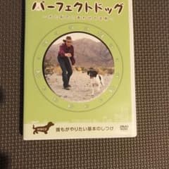 パーフェクトドック②のサムネイル