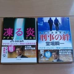 刑事の絆  凍る炎  堂場瞬一のサムネイル