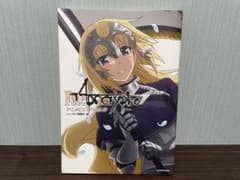 Fate/Apocrypha 애니메이션 비주얼 가이드