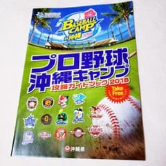 ※2018年※ プロ野球沖縄キャンプガイドのサムネイル