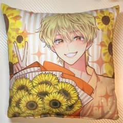 本日限定価格】【正規品 中古美品】みなみお姉さん 抱き枕カバー 