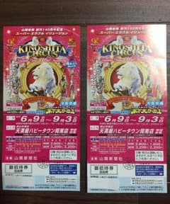 木下サーカスチケット岡山公演フル期間2枚組のサムネイル