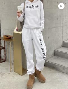 DIANTE c'est la vie セットアップのサムネイル