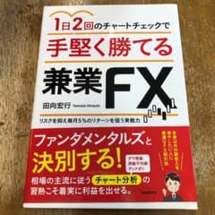 1日2回のチャートチェックで手堅く勝てる兼業FXのサムネイル