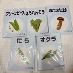 ベビーパーク オリジナルピクチャーフラップレット 20冊セットのサムネイル