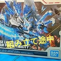 [ジャンク品]MG ユニコーンガンダム ペリフェクトビリティ 限定版 ネ*コ様 MG ユニコーンガンダム ペリフェクトビリティ 限定版