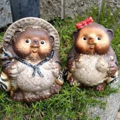 信楽焼 5号ペアー狸 アベック狸 狸 タヌキ たぬき - メルカリ