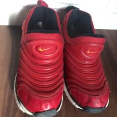 NIKE ナイキ ダイナモフリー22㎝のサムネイル