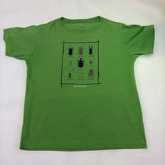 mont-bell Tシャツ 140cm 昆虫柄 グリーンのサムネイル