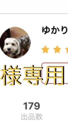 ゆかり様専用　スノーボードウェア　メンズのサムネイル