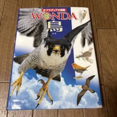 ポプラディア大図鑑 WONDA 鳥のサムネイル