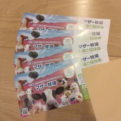 マザー牧場 入場ご招待券 4枚セットのサムネイル