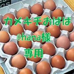カメキチおばば@hana様専用【若鶏の朝採り赤たまご】M~L☆50個のサムネイル