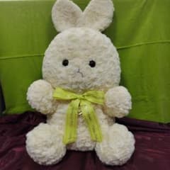 Happy Birthcolor Rabbit 11月のサムネイル