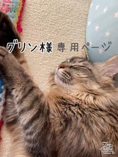 グリン様　専用ページのサムネイル