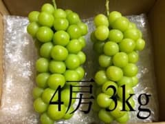 【限定販売】山梨県産 シャインマスカット 4房 3kgのサムネイル