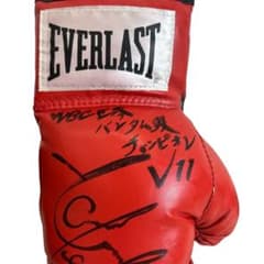 u*f様 山中慎介 直筆サイン入りグローブ WBC バンタム級 V11 赤 - メルカリ