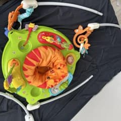 Fisher Price ジャンパルー 本体のサムネイル