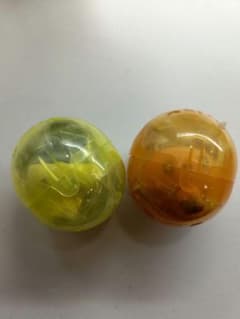 たまごっちカプセルフロッキーズ　まめっち・めめっちセットのサムネイル