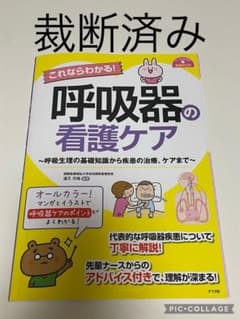 【裁断済み】ナースのための基礎BOOK これならわかる!呼吸器の看護ケアのサムネイル