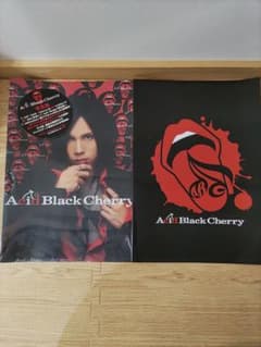 Acid Black Cherry 写真集 セットのサムネイル