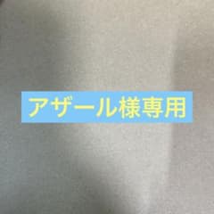 アザール様専用　エギとケースのサムネイル