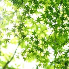 nanto! 様 専用のサムネイル