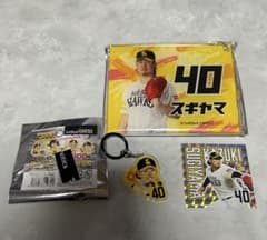 福岡ソフトバンクホークス 杉山一樹選手 アクリルプレート キーホルダーのサムネイル