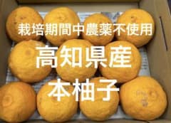 高知県産 本柚子 栽培期間中農薬不使用 - メルカリ