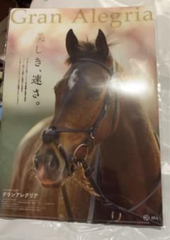 グランアレグリア  クリアファイルのサムネイル