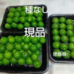 種なしすだち　現品　２L　２.５キロのサムネイル