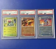 3연번 psa10 후시기소우 리자드 카메르 마스보미러