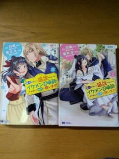 魔力がないと追放されましたが、イケメン召喚師と手を組んで世界を救います!1・2巻のサムネイル