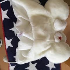 ディズニーのサムネイル