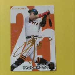 m13929863371_1.jpg?1729504499