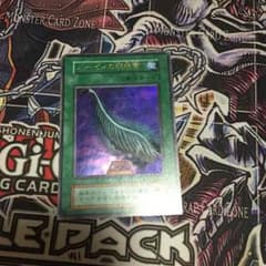 ハーピィの羽根箒のサムネイル