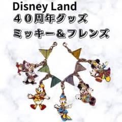 ディズニーランド 40周年 ミッキー グッズ 限定 パーク - メルカリ