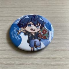 カラフルピーチ からぴち サマーランド サマラン 缶バッジ なおきり