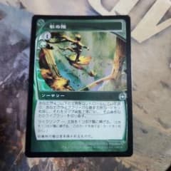 MTG 秋の際foil 日本語 ② | Mercari