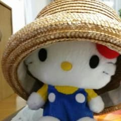 専用ページのサムネイル
