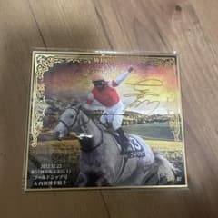 トレーディングmini色紙 名馬セレクション 〜有馬記念優勝馬Ver