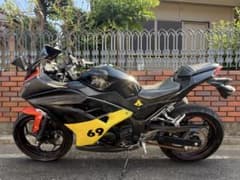 ニンジャ250 NINJA250 EX250L 2.8万キロ台 カワサキ - メルカリ