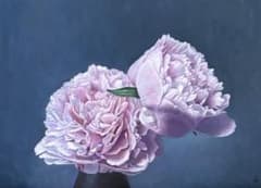 油彩画 芍薬の花 静物画 - メルカリ