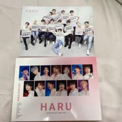 SEVENTEEN  2019 JAPAN TOUR HARU  Blu-rayのサムネイル