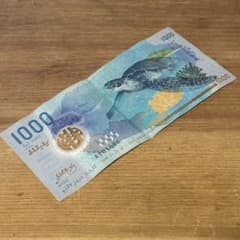 モルディブ ルフィア 1000ルフィア(MVR) 紙幣 ジンベイザメ ウミガメ