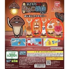 おさわり探偵なめこ栽培キット めじるしアクセサリー 3種のサムネイル