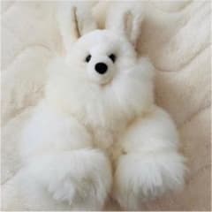 アルパカ ウサギ ①のサムネイル