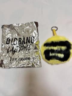 BIGBANG 공식 퍼 매력 D-LITE 대성