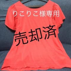 りこりこ様専用のサムネイル